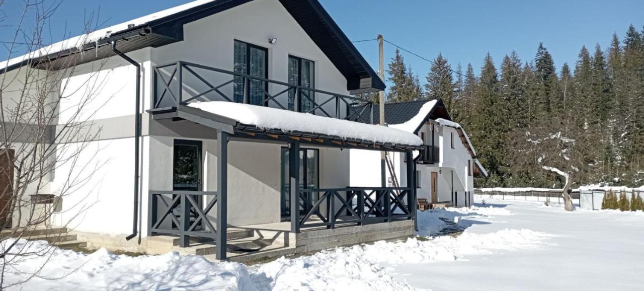 U Anastasii I Sofii Bilya Richki Casa de hóspedes Mykulychyn Exterior foto