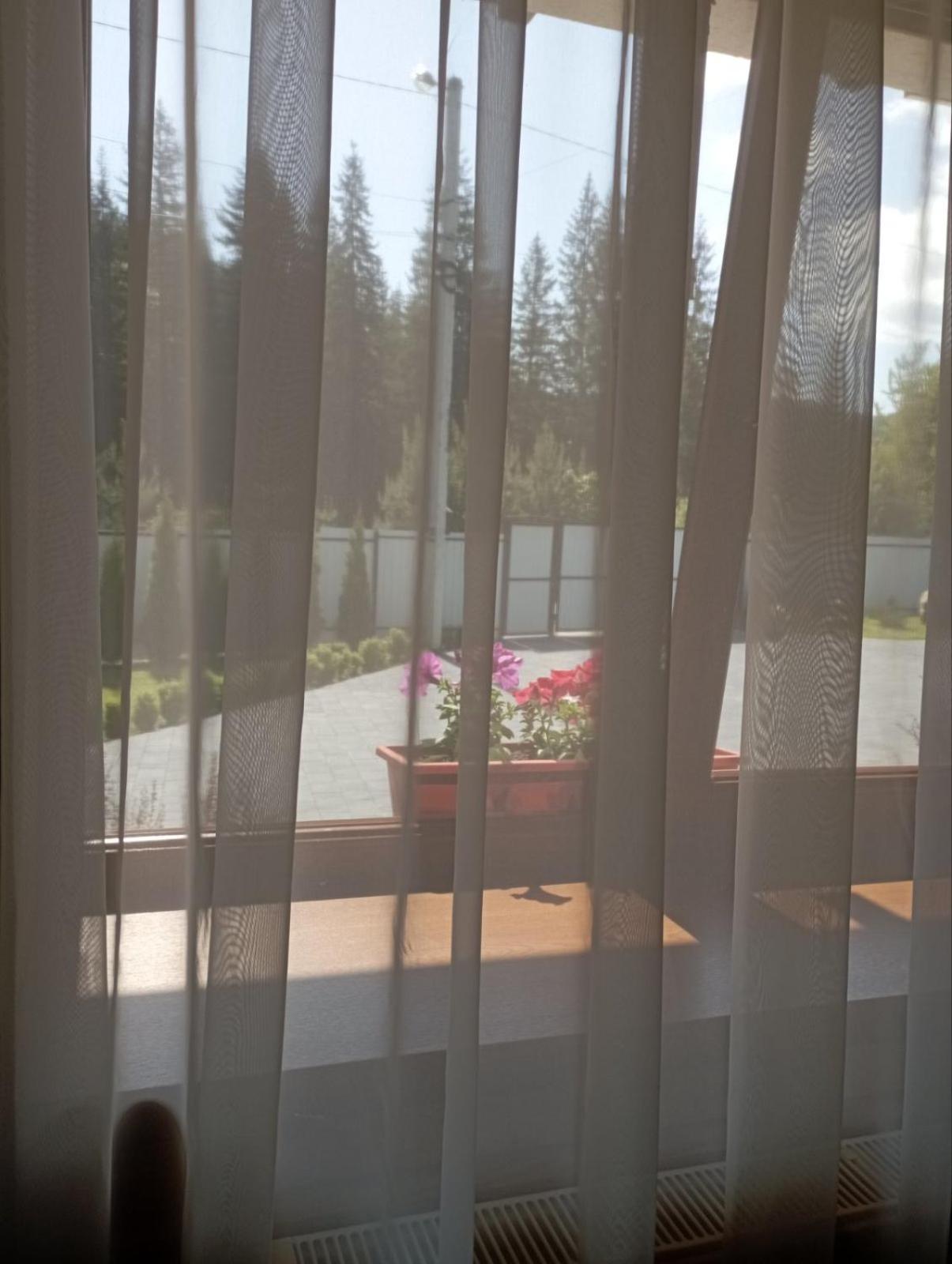 U Anastasii I Sofii Bilya Richki Casa de hóspedes Mykulychyn Exterior foto