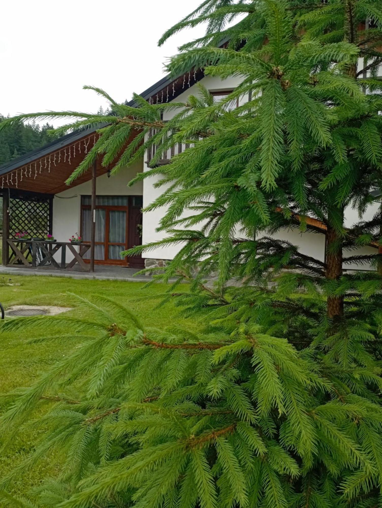U Anastasii I Sofii Bilya Richki Casa de hóspedes Mykulychyn Exterior foto