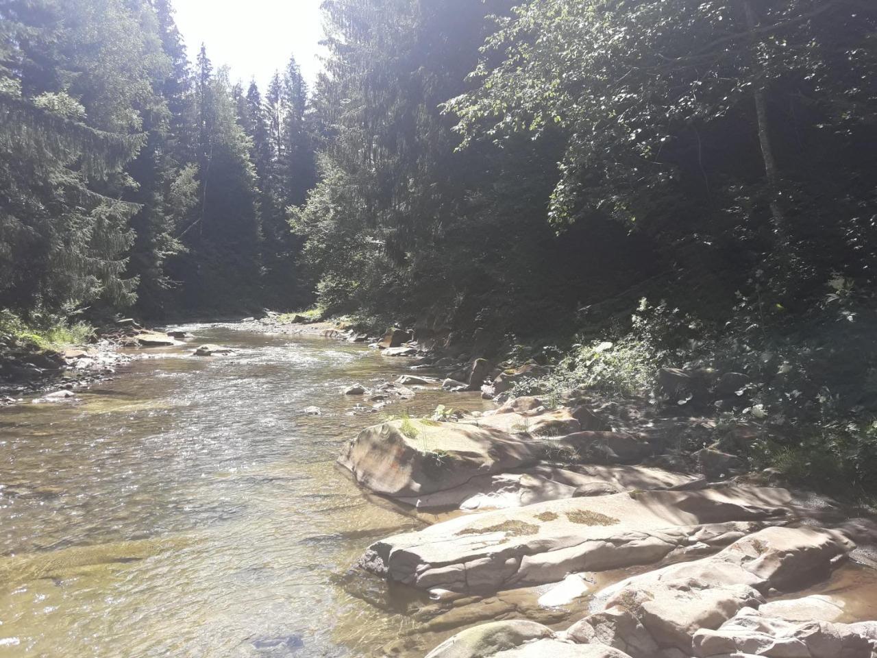 U Anastasii I Sofii Bilya Richki Casa de hóspedes Mykulychyn Exterior foto