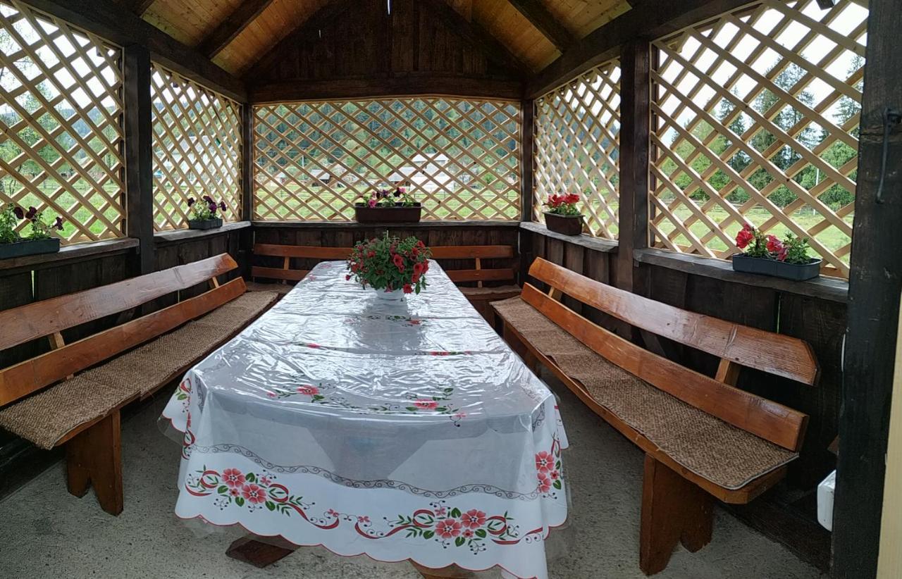 U Anastasii I Sofii Bilya Richki Casa de hóspedes Mykulychyn Exterior foto